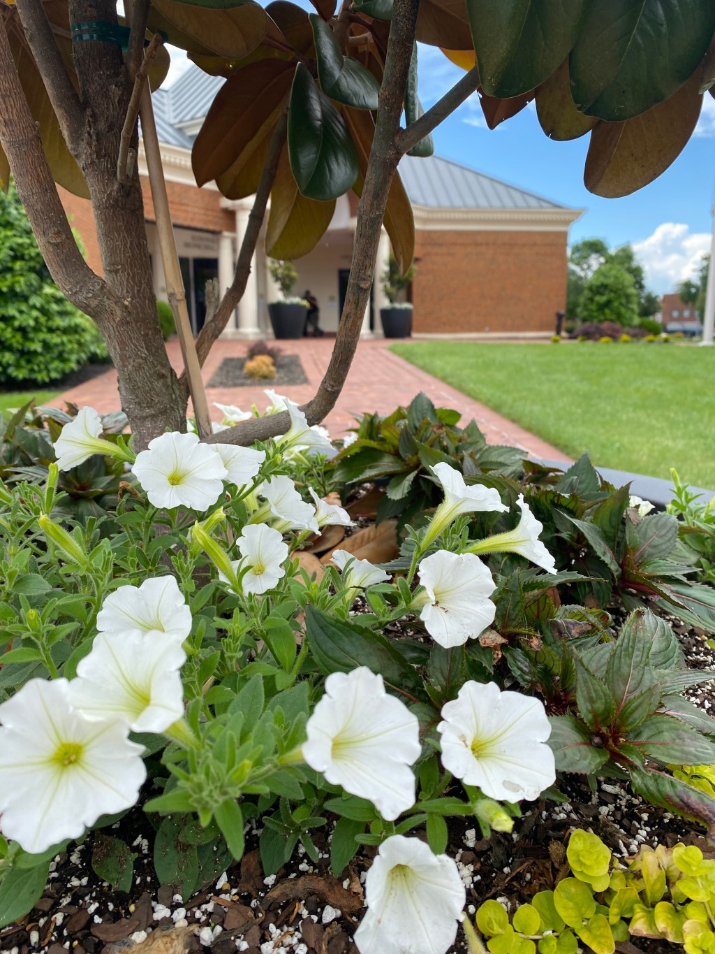 What’s your Vision for Kernersville? Take the Survey Before it&nbsp;Closes!